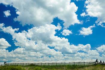 Campo de productores familiares, en el km 42 de la ruta 33, Canelones (archivo, enero de 2017). · Foto: Pablo Vignali