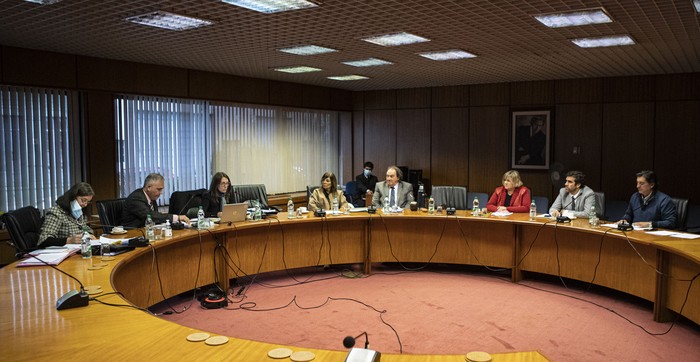 Comisión para el estudio de las licencias irregulares de Fenapes, el 6 de junio, en el anexo del Palacio Legislativo. · Foto: .
