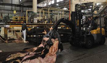 Fábrica de Paycueros (archivo, junio de 2021). · Foto: Walter Paciello, Presidencia de la República