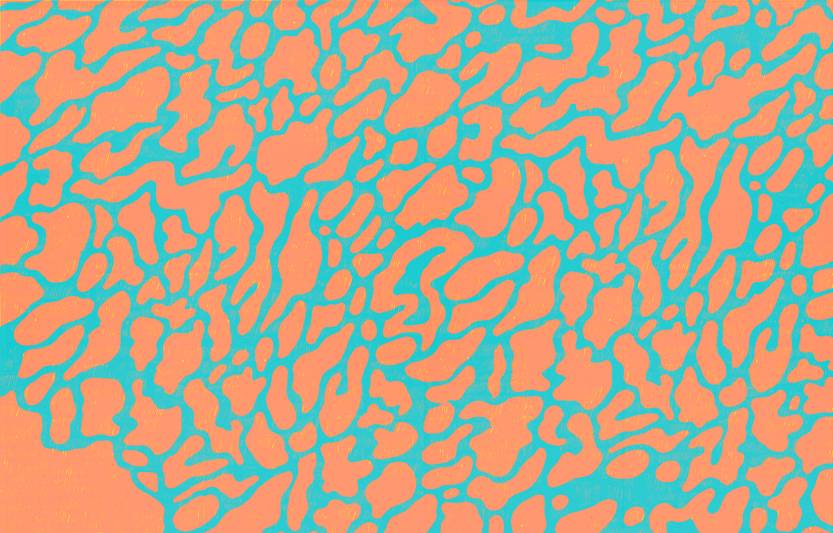 Lento 142 - Fondo Lento enero