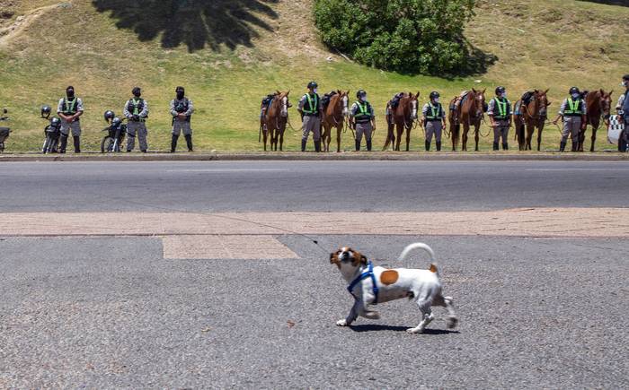 Presentación de fuerzas policiales en la rambla del Parque Rodó.  · Foto: Pablo La Rosa, adhocFOTOS