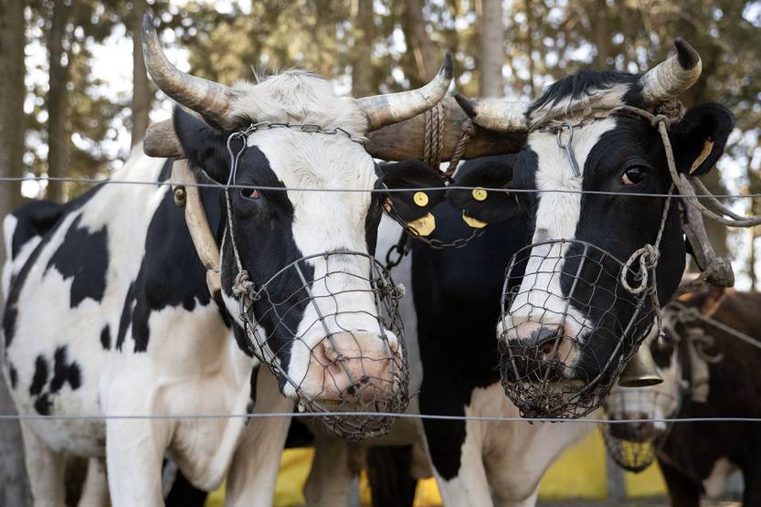 20250924 AGRO fotorreportaje 11