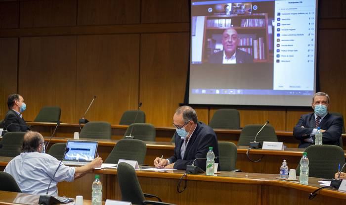 Reunión virtual de la Comision Multiparlamentaria y el Gach, ayer, el Anexo del Palacio Legislativo. · Foto: Alessandro Maradei