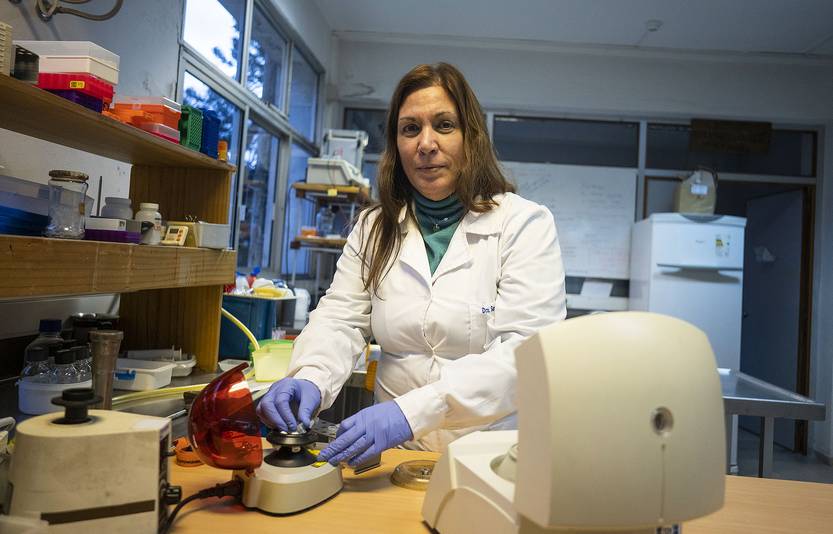 20250527 ciencia - Susana Gonzalez -  venado