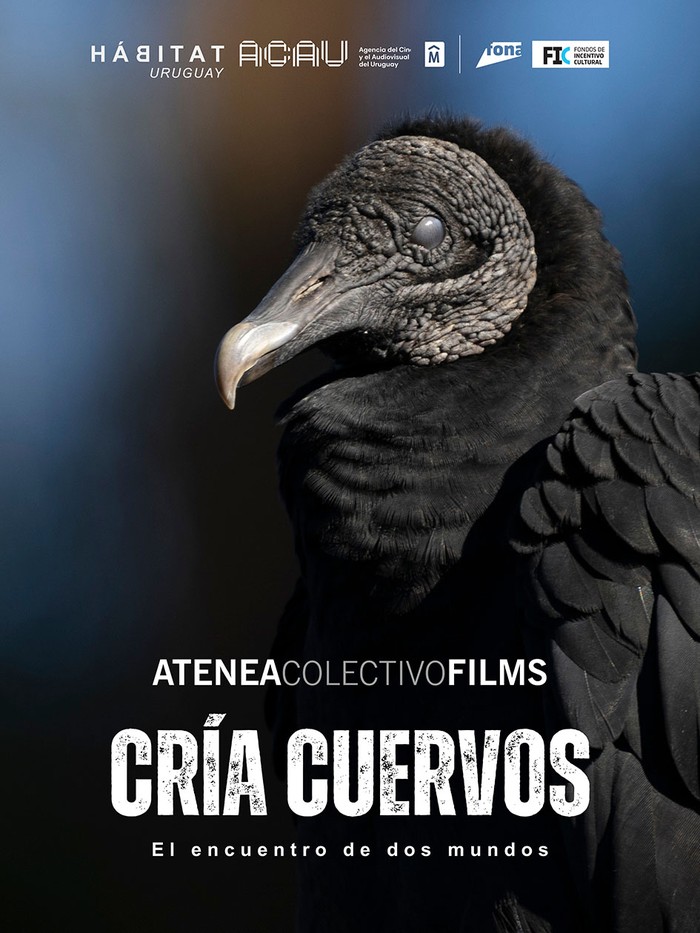 Foto principal del artículo 'Una mirada a Hábitat, serie documental nacional de naturaleza que muestra nuestra biodiversidad con imágenes deslumbrantes'