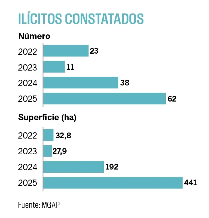 Ilícitos constatados, suplemento Ambiente