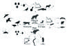 grafico ciencia xx