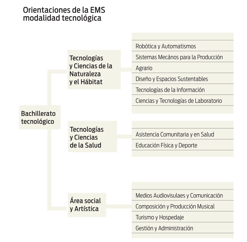 gráfico Orientaciones de la EMS modalidad tecnológica