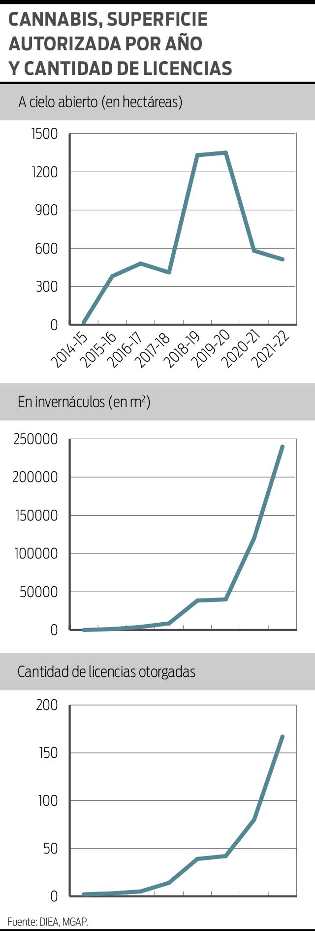 Gráficos cannabis