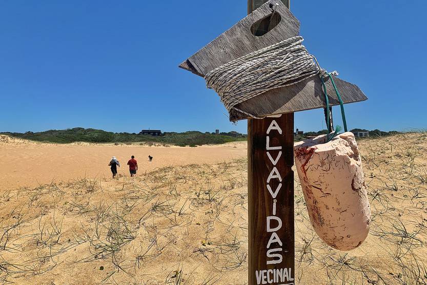 guardavidas image_6483441