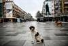 Plaza en Pristina, Kosovo, ayer.
· Foto: Armend Nimani, AFP Plaza en Pristina, Kosovo, ayer.
· Foto: Armend Nimani, AFP