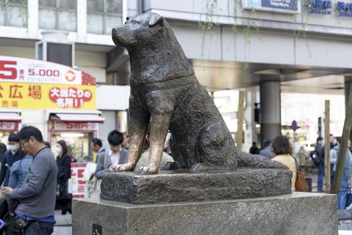 Estatua de Hachiko en Tokya, Japón.  · Foto: Pixbay