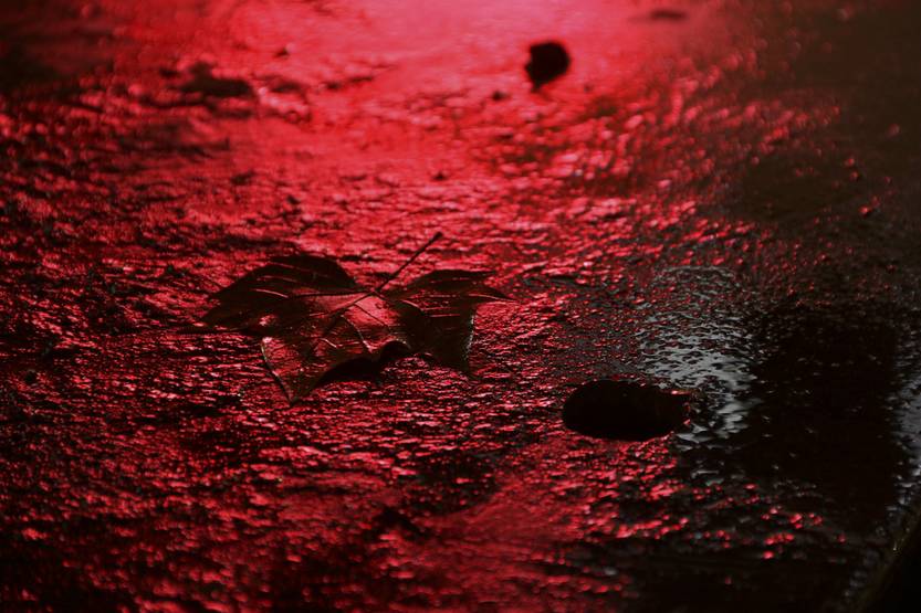 Lento 152 - Sin tiempo ni distracciones 04