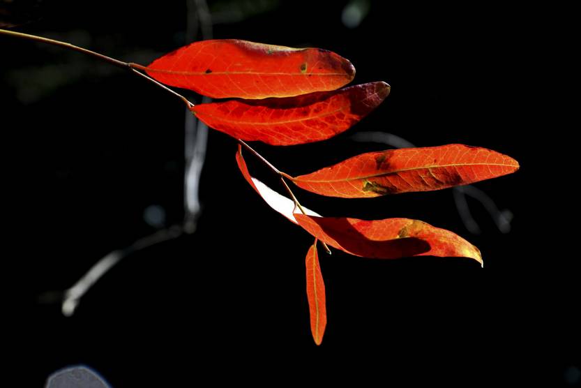 Lento 114 - Luces y sombras 04