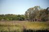 humedales RS152501_20230210CDS_2609