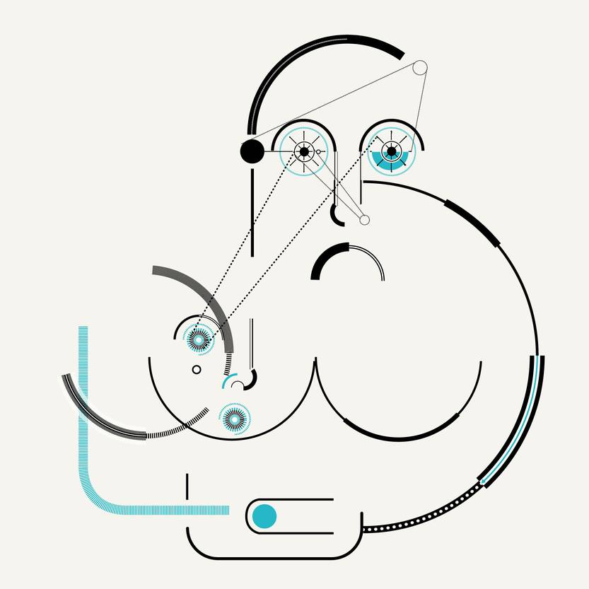 Desiguales y desobedientes