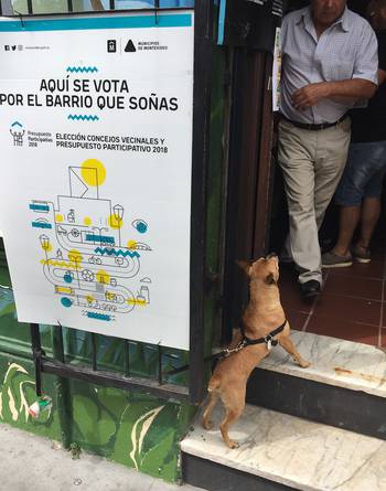 Circuito de votación de Consejos Vecinales y Presupuesto Participativo, ayer, en la Ciudad Vieja. Circuito de votación de Consejos Vecinales y Presupuesto Participativo, ayer, en la Ciudad Vieja.