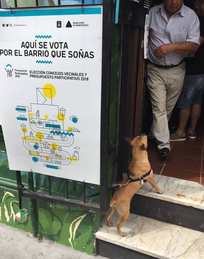 Circuito de votación de Consejos Vecinales y Presupuesto Participativo, ayer, en la Ciudad Vieja. · Foto: Iván Franco