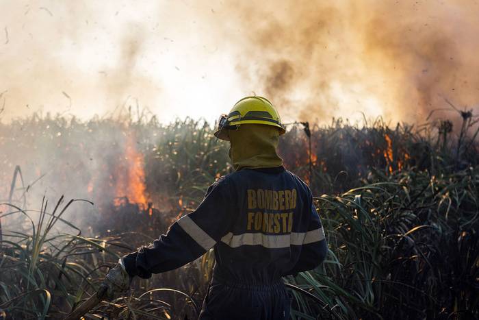 Incendio forestal, el domingo, en Pinamar. · Foto: Alessandro Maradei