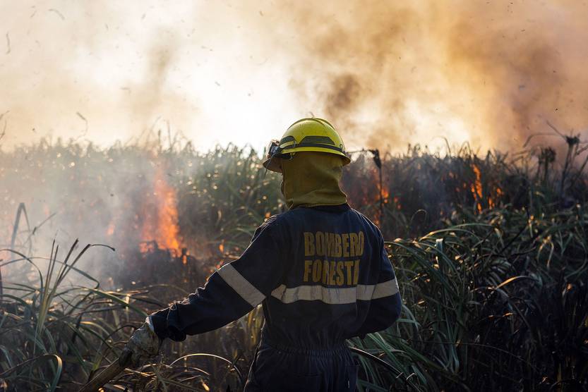 incendio RS148425_20230108AM_311
