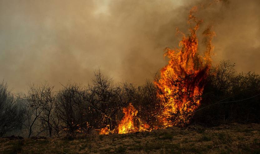 incendios RS143368_20221124ID_0042