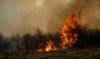 incendios RS143368_20221124ID_0042