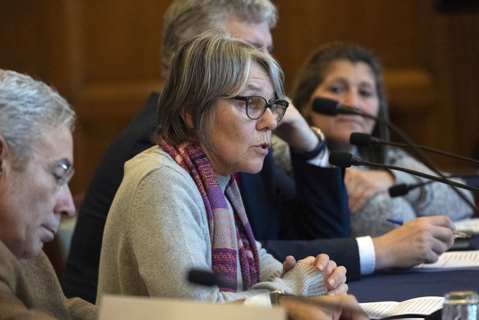 Mariana Mota, el 26 de junio, en la Comisión de Derechos Humanos. · Foto: Alessandro Maradei