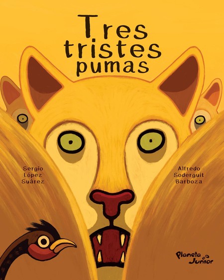 Foto principal del artículo 'Secreto de Felino' Foto principal del artículo 'Secreto de Felino'