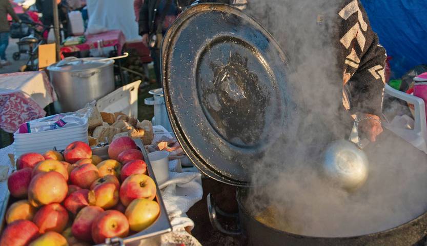 Tapa Inseguridad alimentaria