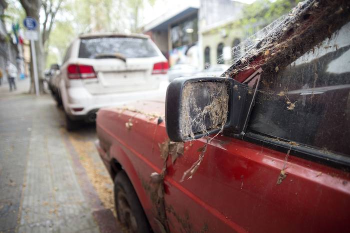 Autos abandonados, este lunes, en la cuadra de Interpol. · Foto: Natalia Rovira