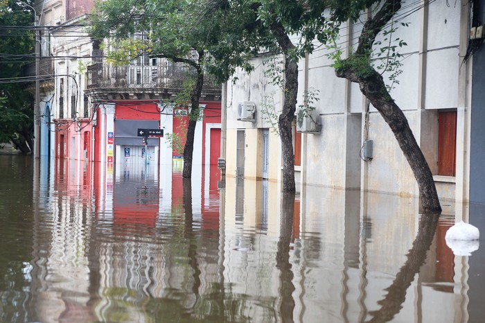 Inundaciones, hoy, en la zona céntrica de la ciudad de Salto. · Foto: Marcelo Cattani