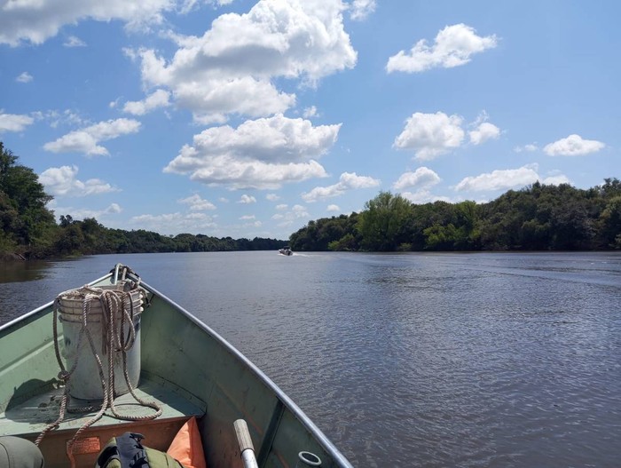 Foto principal del artículo 'HIF Global será multada por deforestar monte nativo e iniciar actividades vinculadas a su planta sin contar con autorización' · Foto: Ministerio de Ambiente
