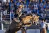 jineteadas RS272370_20250414-RVA-749 (1)
