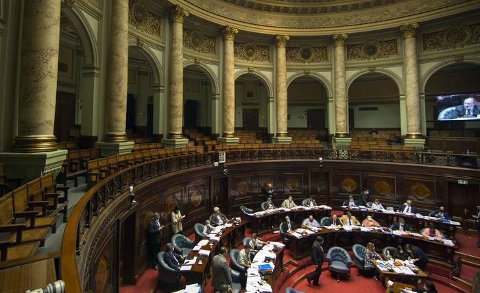 Cámara de Senadores (archivo, diciembre de 2020). · Foto: .