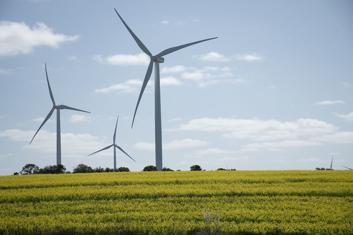 Molinos de energía eólica, próximo a Tarariras, Colonia (archivo, agosto de 2022). · Foto: Ignacio Dotti