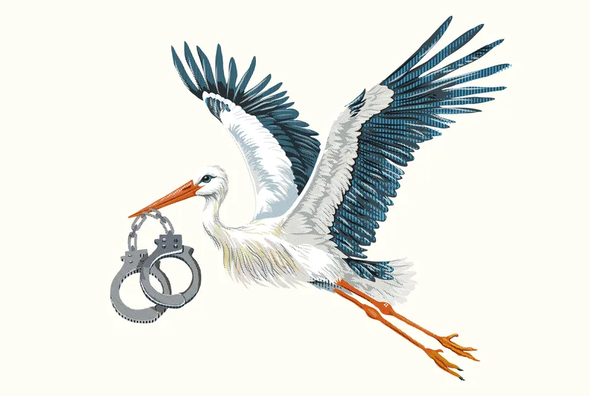 La trampa de la maternidad 01