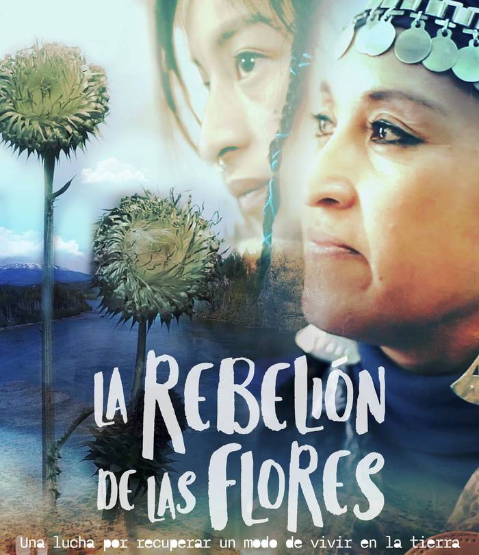 Foto principal del artículo 'La rebelión de las flores: el documental protagonizado por mujeres indígenas de Argentina que se presentará en Uruguay'