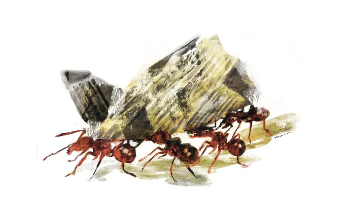 Foto principal del artículo 'La cooperativa cuesta y vale' · Ilustración: Federico Murro