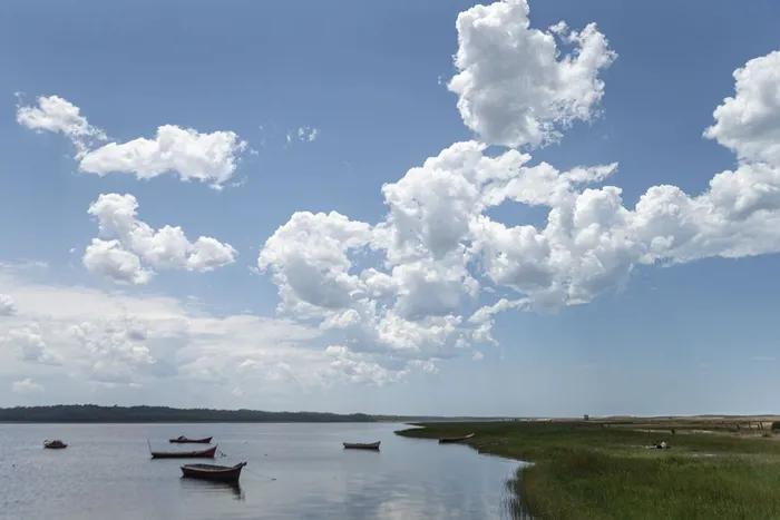 laguna de Rocha (archivo, enero de 2022). · Foto: Ernesto Ryan