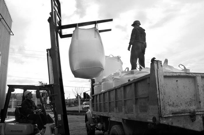 Carga de arroz para exportacion en el molino Casarone de Rio Branco. (archivo, agosto de 2011) · Foto: Sandro Pereyra