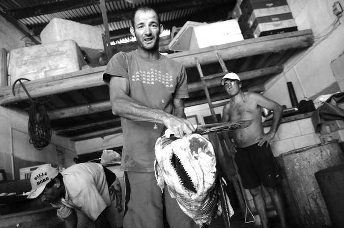 Robert Acosta, pescador artesanal de Punta del Diablo, faena un tiburon de 70 kilogramos, ayer, en su lugar de trabajo, frente a la Playa de los Pescadores.  · Foto: Nicolás Celaya