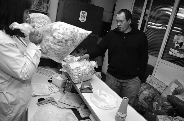 Licenciada Mariela Garín, jefa del laboratorio del Secretariado Uruguayo de la Lana, recibe la muestra de lana de un productor de Salto. (archivo, octubre de 2010) · Foto: Javier Calvelo