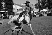 Una de las montas de la rueda en pelo, ayer en la Semana Criolla de la Rural del Prado