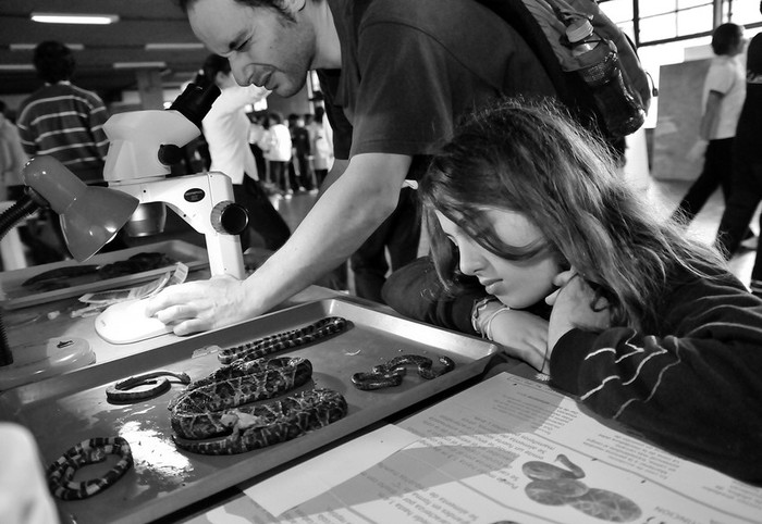 Semana de la Ciencia y la Tecnología en la Facultad de Ciencias. · Foto: Javier Calvelo