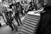 Desfile de acordeonistas por la calle Uruguay en el departamento de Salto, durante el 4º Encuentro Internacional
de Acordeones.