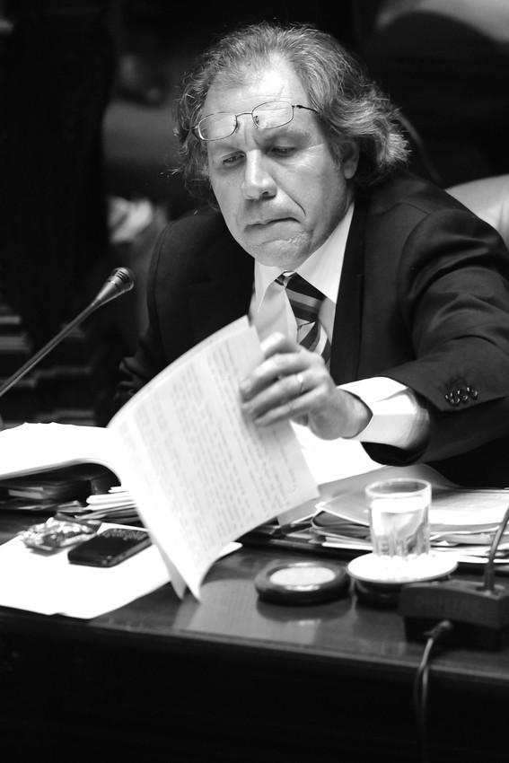 Luis Almagro, ayer, durante la interpelación en el Senado · Foto: Sandro Pereyra