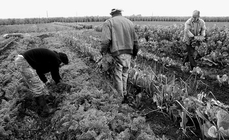 Chacra de Colonia España (Bella Unión), ocupada en 2006 por UTAA, Soca y Apaarbu, en la actualidad centro de formación popular. (archivo, setiembre de 2010) · Foto: Sandro Pereyra Chacra de Colonia España (Bella Unión), ocupada en 2006 por UTAA, Soca y Apaarbu, en la actualidad centro de formación popular. (archivo, setiembre de 2010) · Foto: Sandro Pereyra