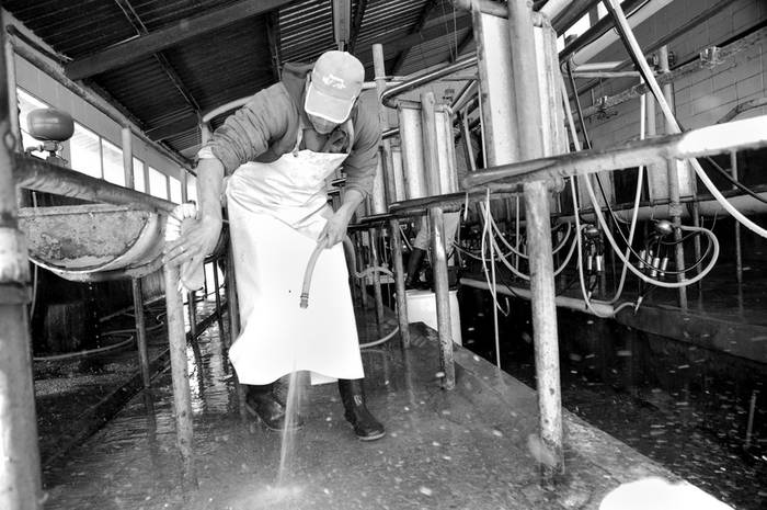 Trabajador realiza tareas de limpieza en una sala de ordeñe de un tambo. (archivo, setiembre de 2008) · Foto: Pablo Nogueira