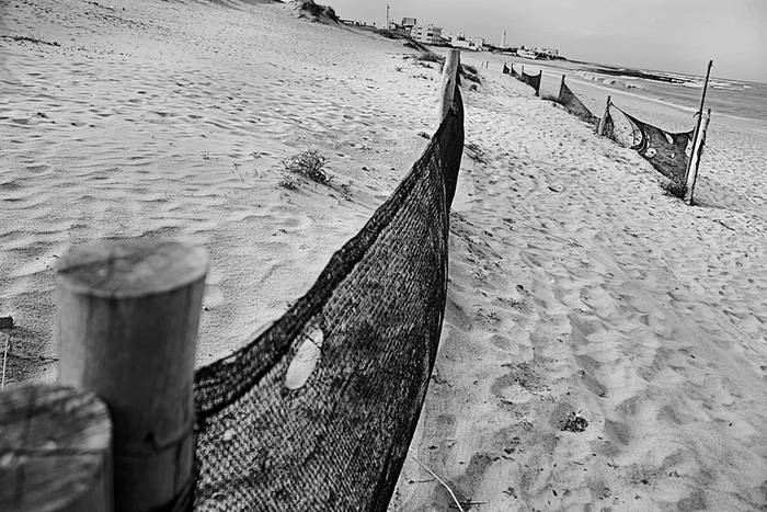 Pantallas eólicas para la regeneración dunar, en la playa La Serena (La Paloma, Rocha), colocadas por la ONG local SOS. · Foto: Victoria Rodríguez
