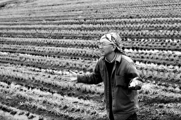 Shuzi Sato, un agricultor japonés de 48 años, se lamenta de la amenaza radiactiva sobre su plantación de arroz,
en las afueras de Ichinoseki, en la prefectura de Iwate (noreste de Japón). · Foto: Efe, Stephen Morrison